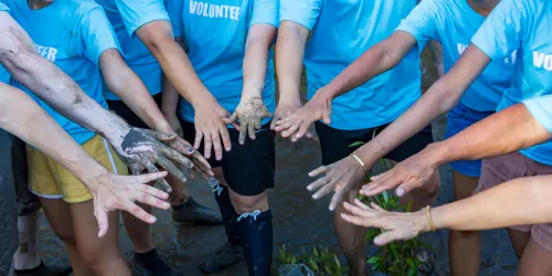 coimbradv advocacia servico mob 04