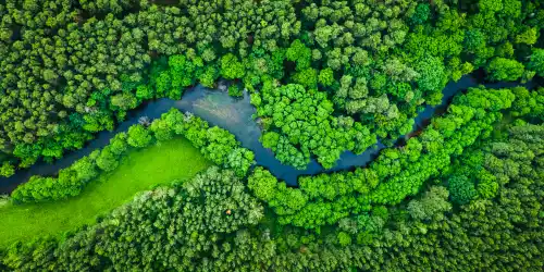 coimbradv advocacia servico mob 08